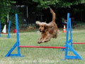 Highslide JS