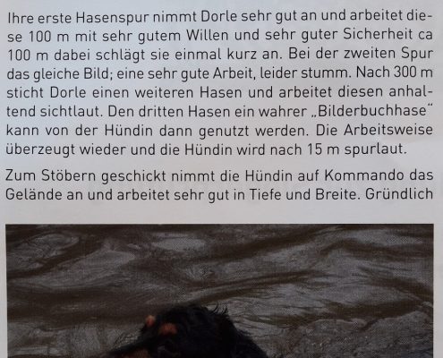 2017-09-06-D-Wurf-Dorle-1. Preis jagdl. AzP-1