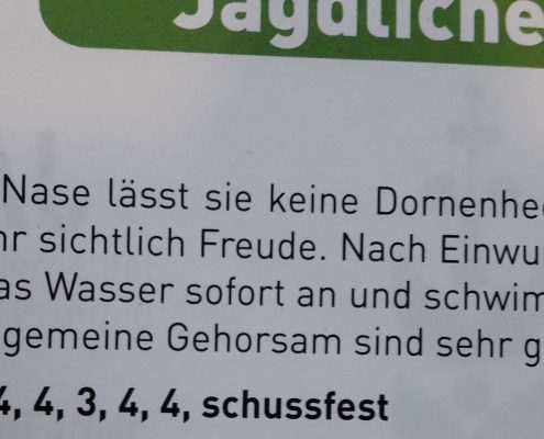 2017-09-06-D-Wurf-Dorle-1. Preis jagdl. AzP-2