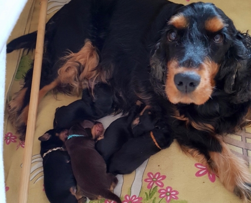 2021-03-20-G-Wurf-Allgemein-16