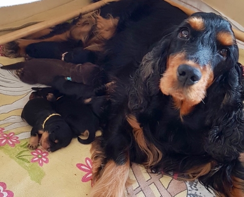 2021-03-20-G-Wurf-Allgemein-17