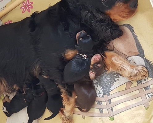 2021-03-20-G-Wurf-Allgemein-18