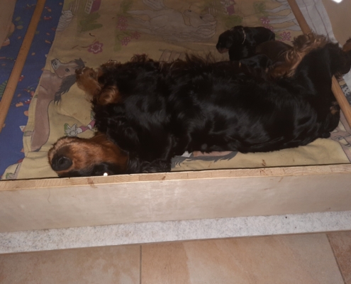 2021-03-21-Wurfkiste Nachts-3