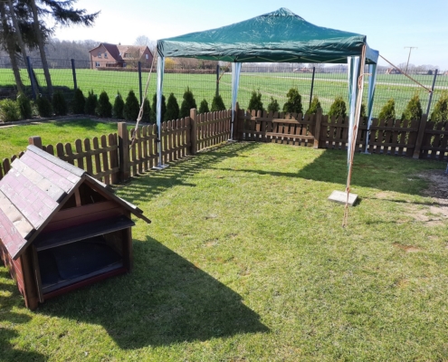 2021-03-30-Welpenauslauf-1