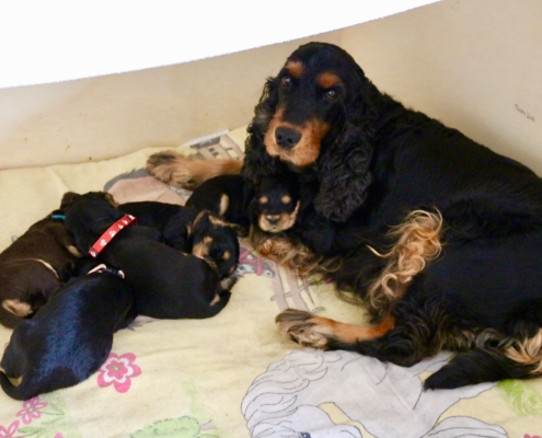 2021-04-02 - G-Wurf - Allgemein - 10