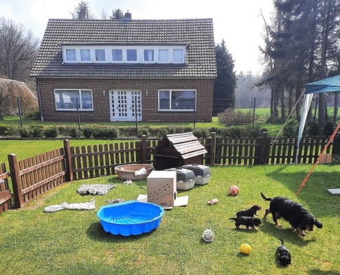 2021-04-19-Im Welpenauslauf