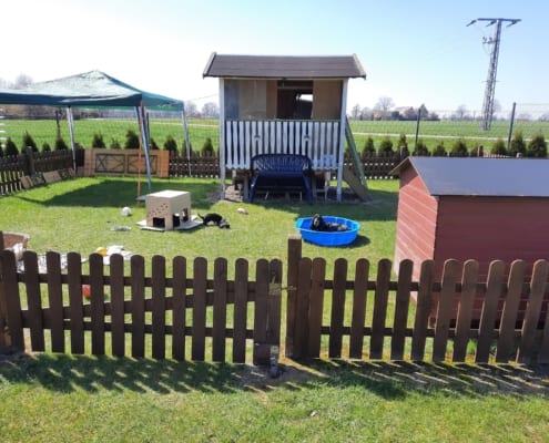 2021-04-20-G-Wurf-Im Welpenauslauf-2