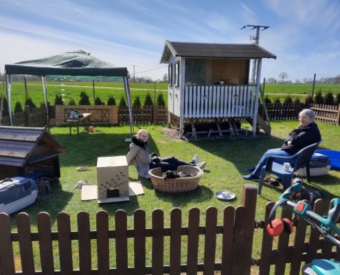 2021-04-24-G-Wurf-Im Welpenauslauf-1