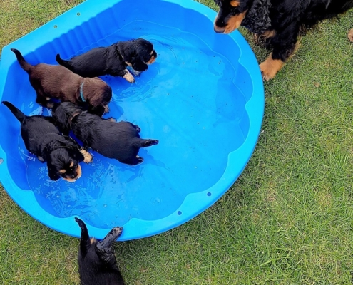 2021-04-24-G-Wurf-In der Bademuschel-1