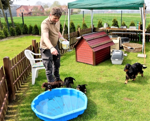 2021-05-01 - G-Wurf - Allgemein - 1