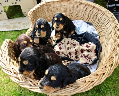 2021-05-01 - G-Wurf - Allgemein - 10