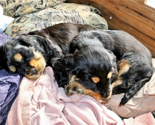 2021-05-01 - G-Wurf - Allgemein - 20