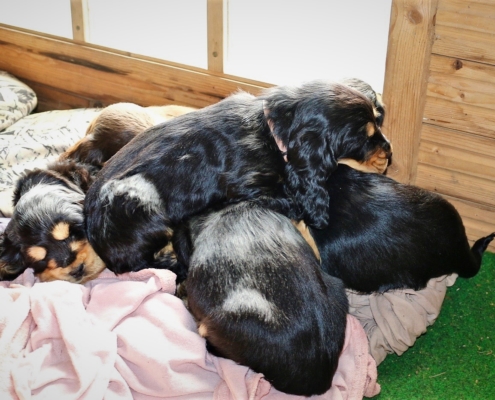 2021-05-01 - G-Wurf - Allgemein - 21