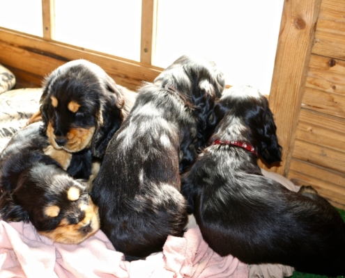 2021-05-01 - G-Wurf - Allgemein - 22