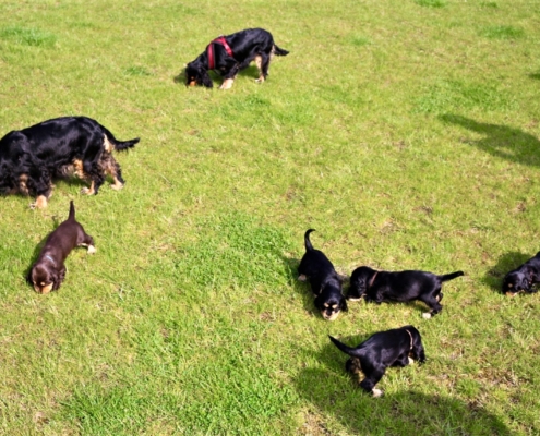 2021-05-01 - G-Wurf - Allgemein - 28