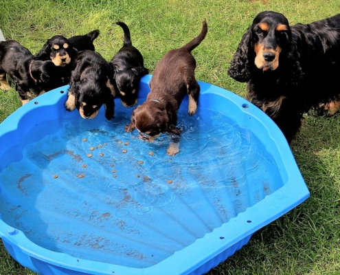 2021-05-01 - G-Wurf - Allgemein - 3