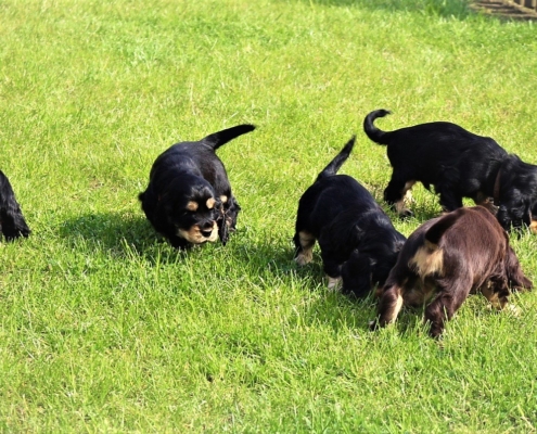 2021-05-01 - G-Wurf - Allgemein - 31