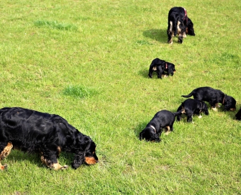 2021-05-01 - G-Wurf - Allgemein - 38