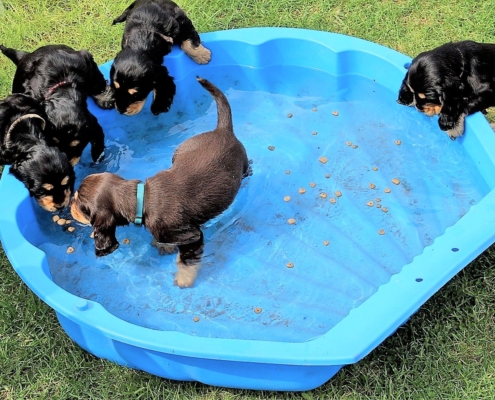 2021-05-01 - G-Wurf - Allgemein - 6