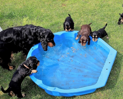 2021-05-01 - G-Wurf - Allgemein - 7