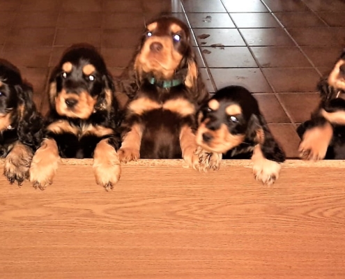 2021-05-05-G-Wurf-Am Holzbrett-3