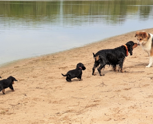 2021-05-08-G-Wurf-Am See-10