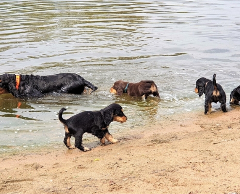 2021-05-08-G-Wurf-Am See-8