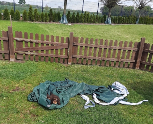 2021-05-11-G-Wurf-Nach Sturm-5