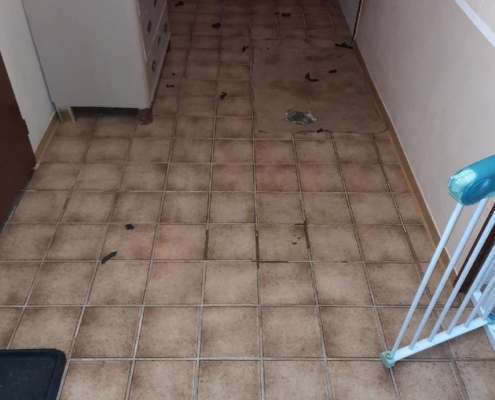 2021-05-19-Keller am Morgen-1