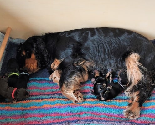 2022-05-17-H-Wurf-Allgemein-In der Wurfkiste