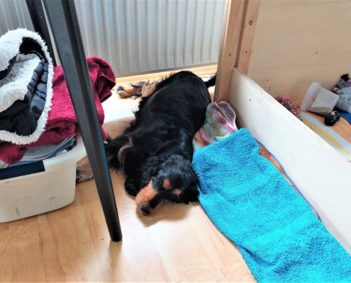 2022-06-05-H-Wurf-Alle ruhen sich aus-1