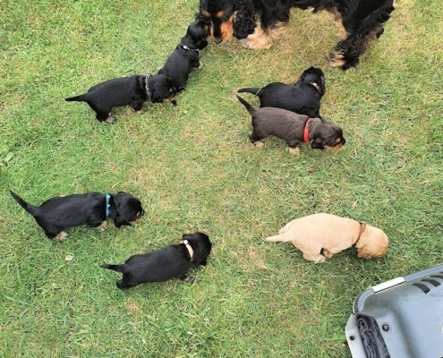 2022-06-08-H-Wurf-Im Garten-1